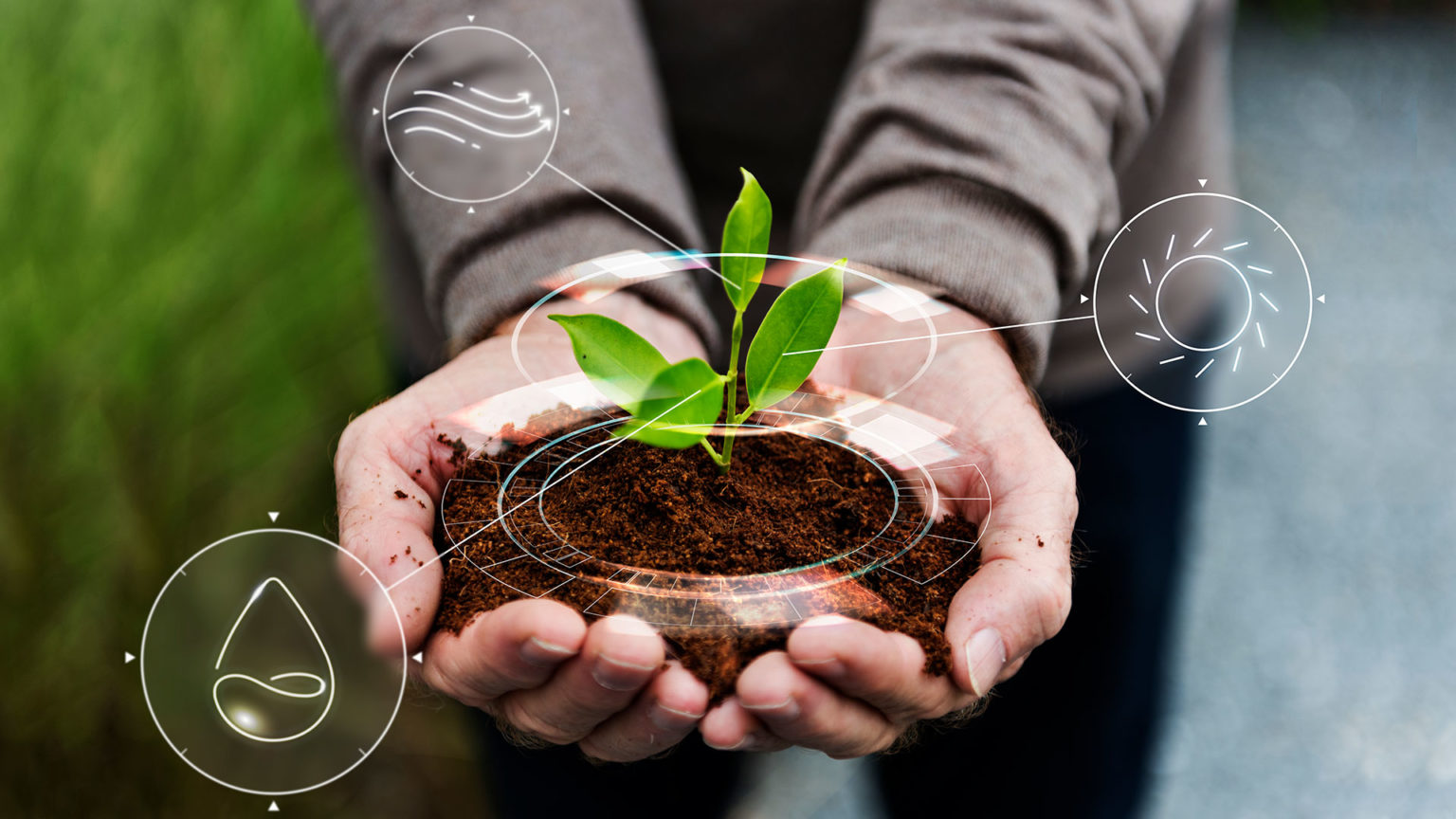 Impacto del cambio climático en la seguridad alimentaria Revista Pro León