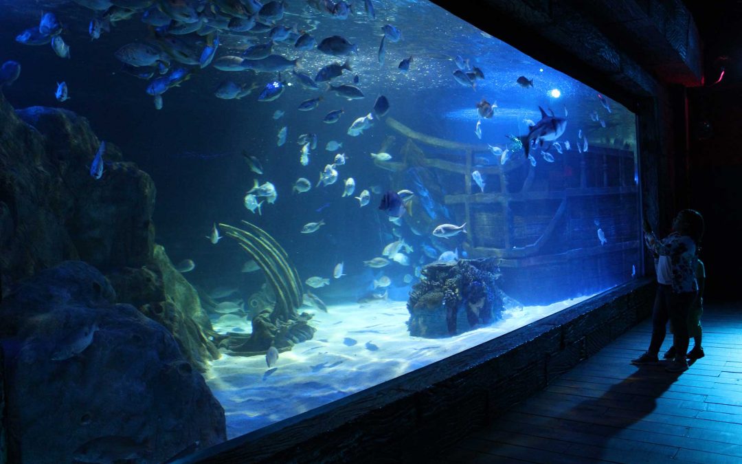 Acuario del Bajío