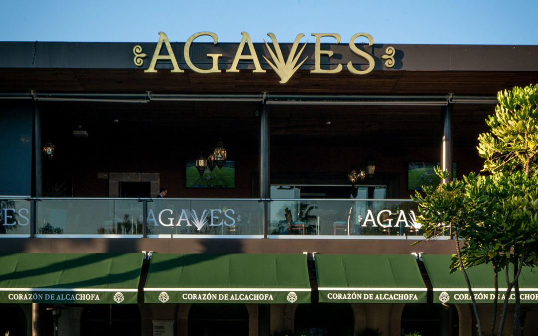 Agaves Premium