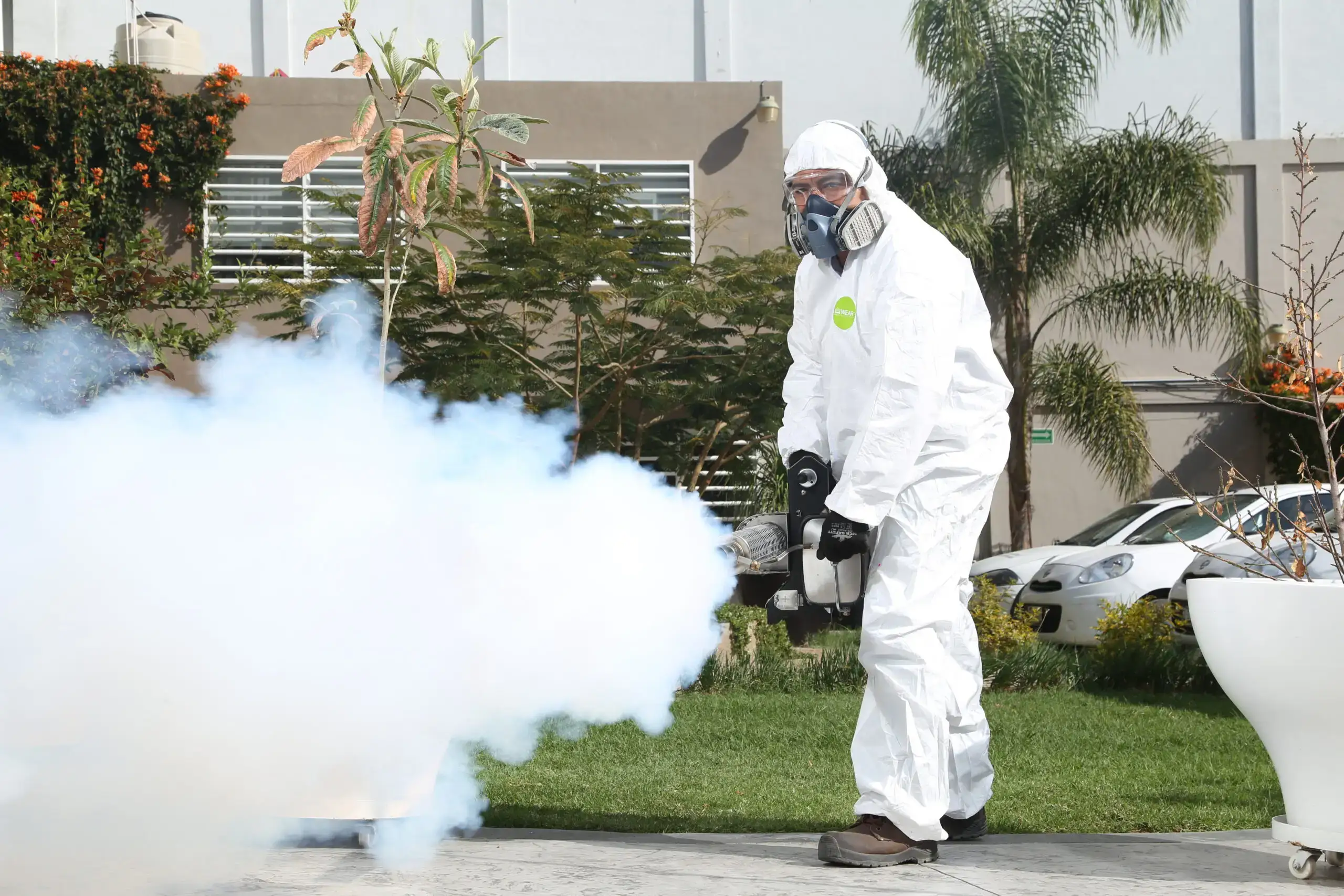 X-TERMINIO Fumigaciones: Una Nueva Solución en Control de Plagas