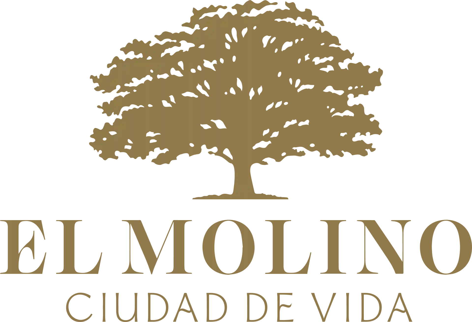 El Molino Ciudad de Vida El Molino Ciudad de Vida