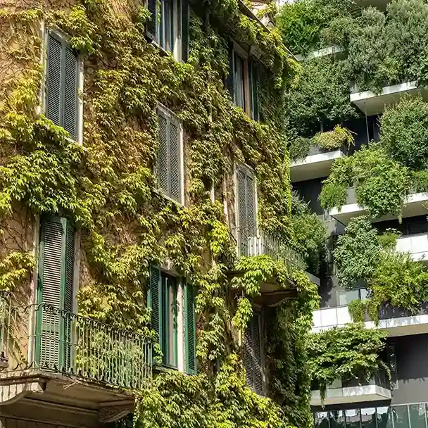 Diseño regenerativo