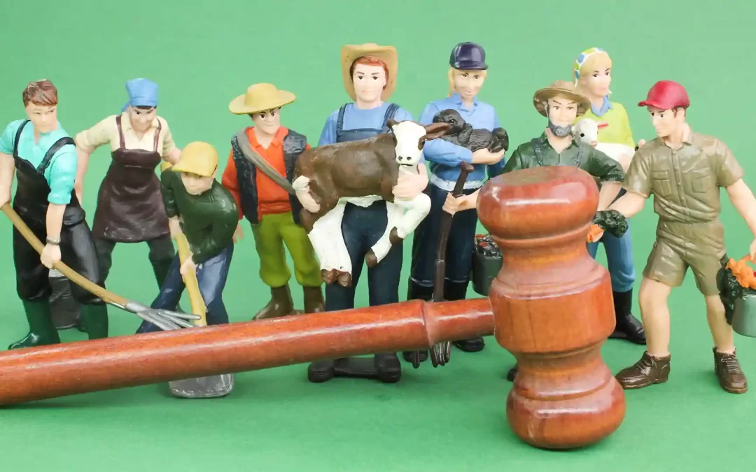 Vive la experiencia de la formalidad legal