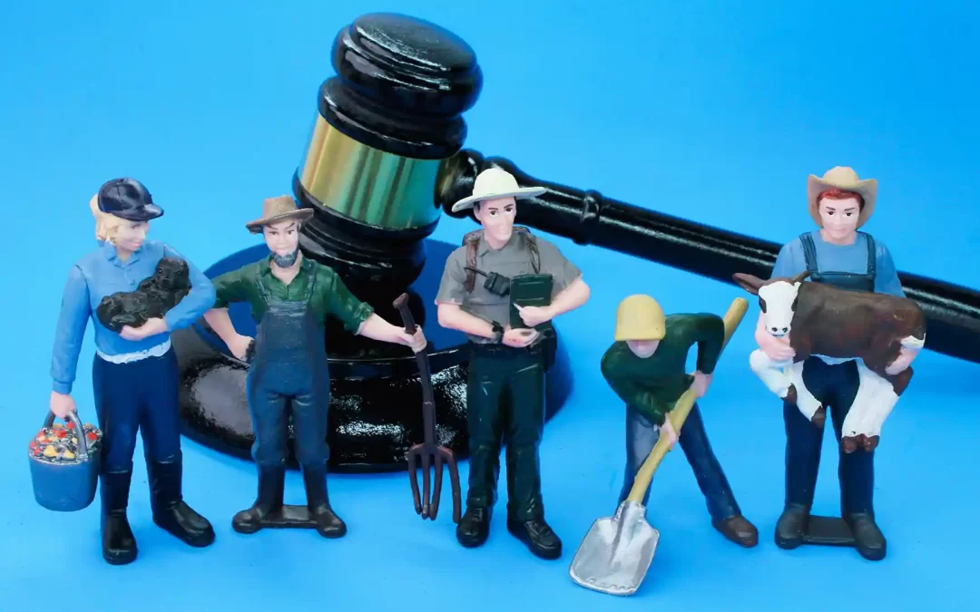 Construir empresas con base legal