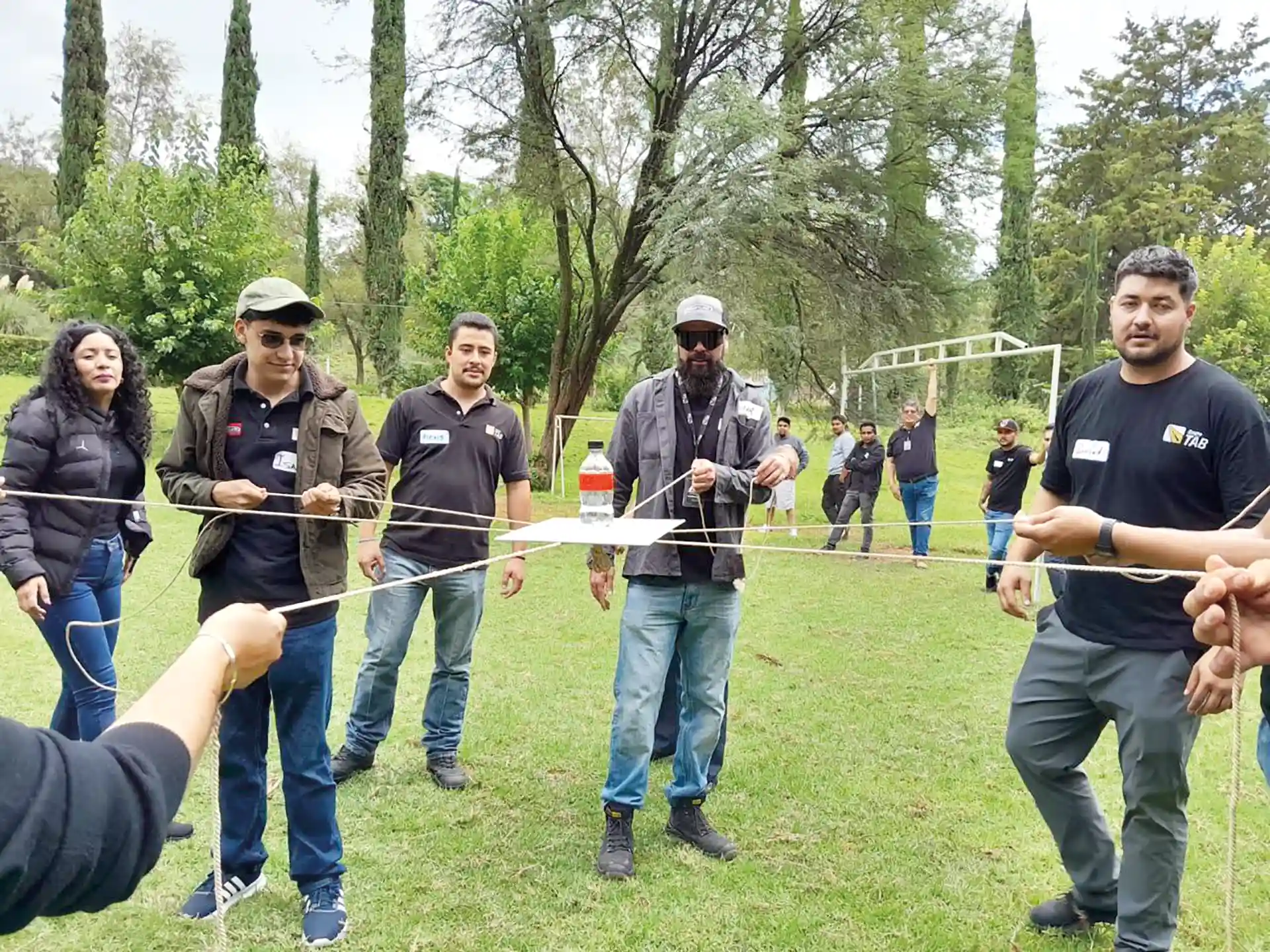 CIO Consultoría de Integración Organizacional