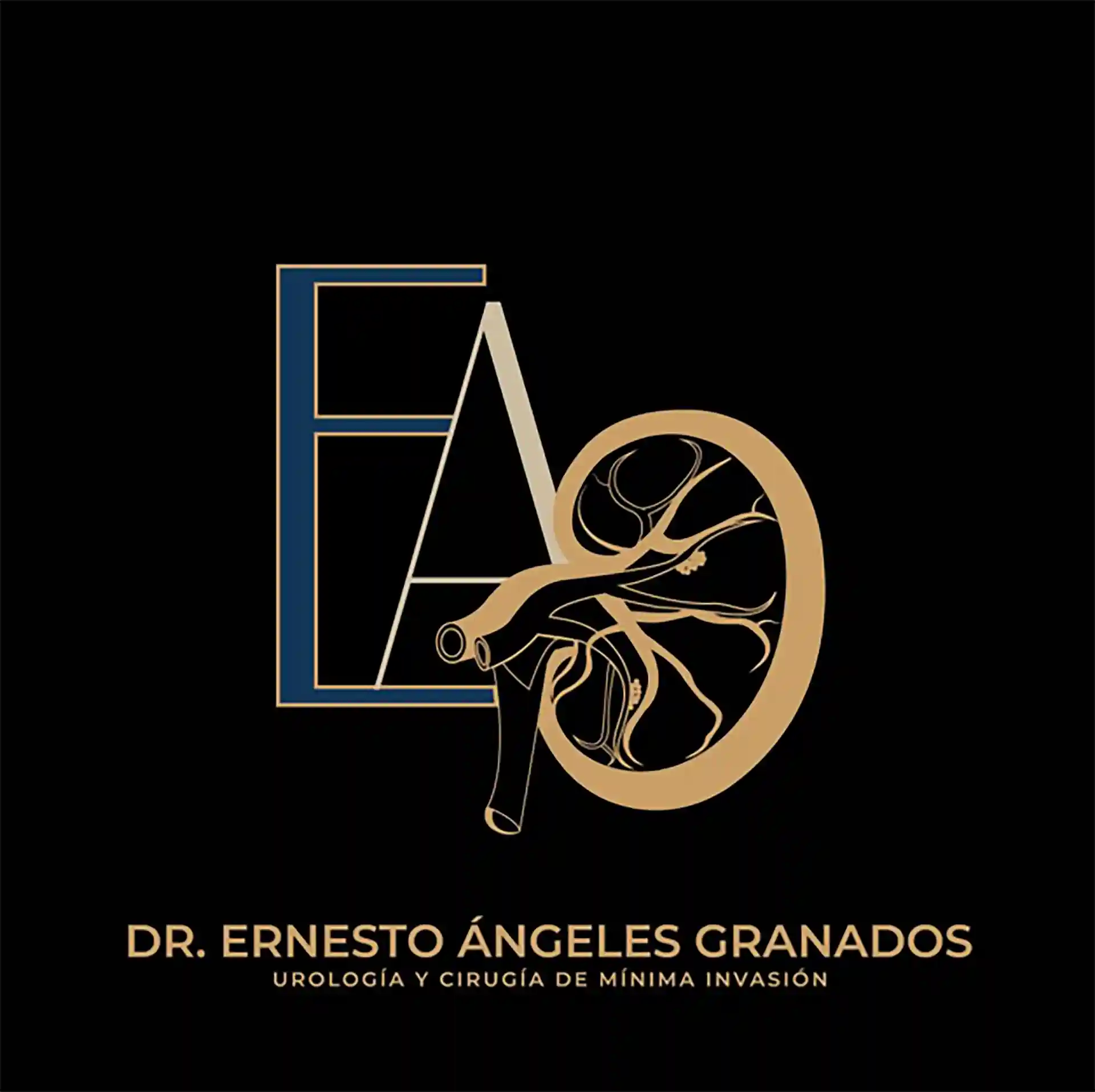 Dr. Ernesto Ángeles Granados