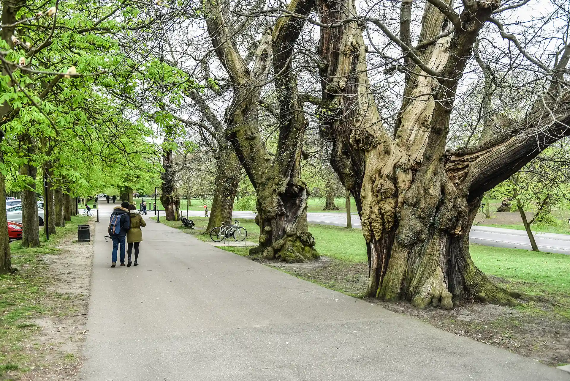 Los parques urbanos y la salud