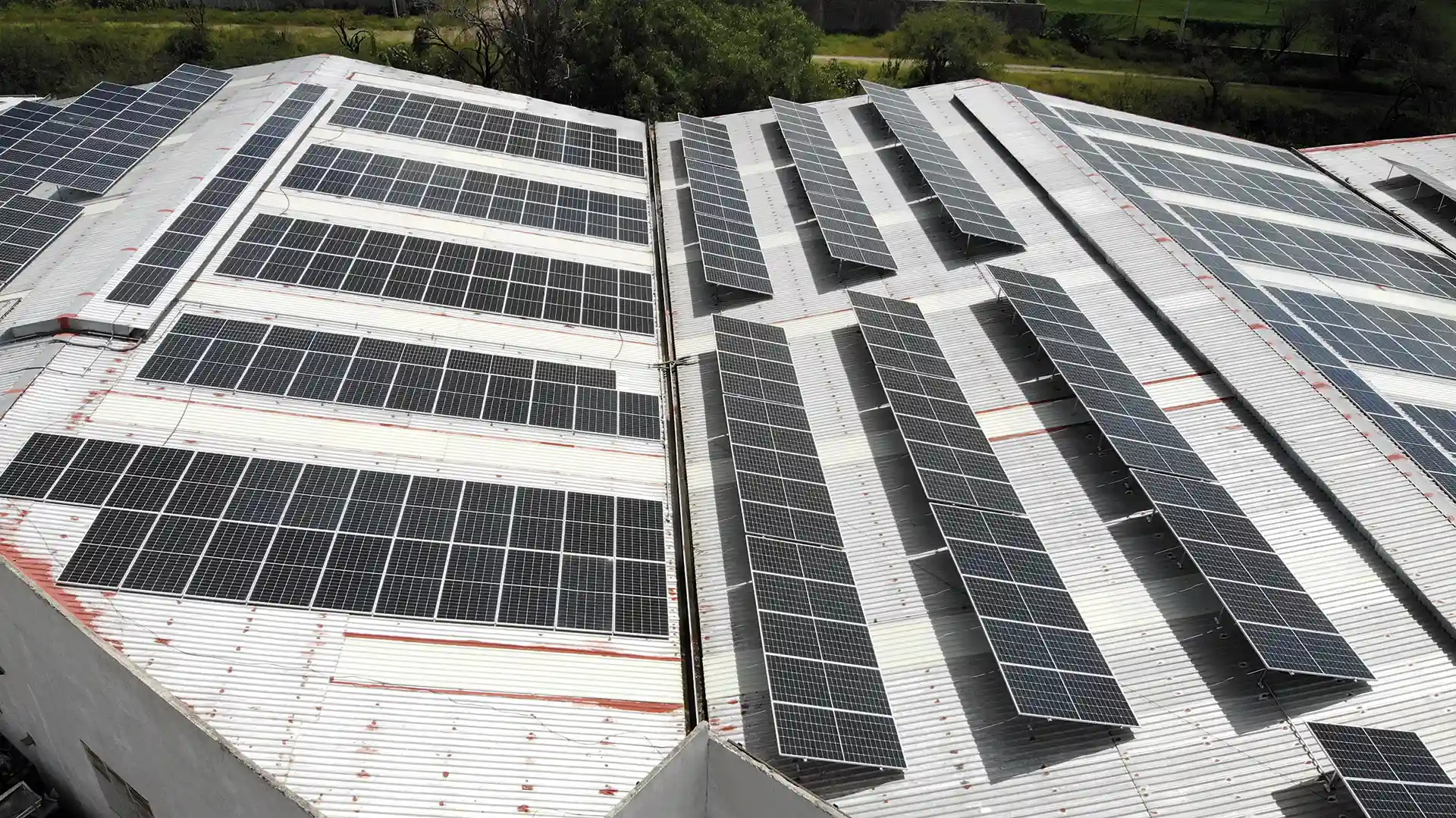 Soluciones Ecoeficientes SA de CV (SOLEEC)