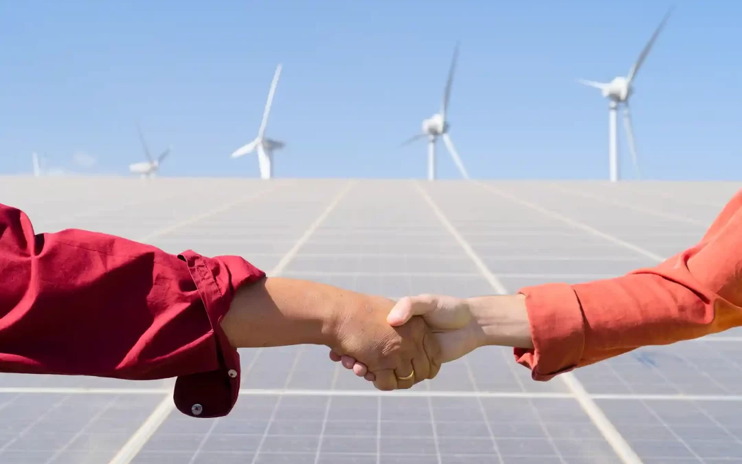 De lo sostenible a lo rentable