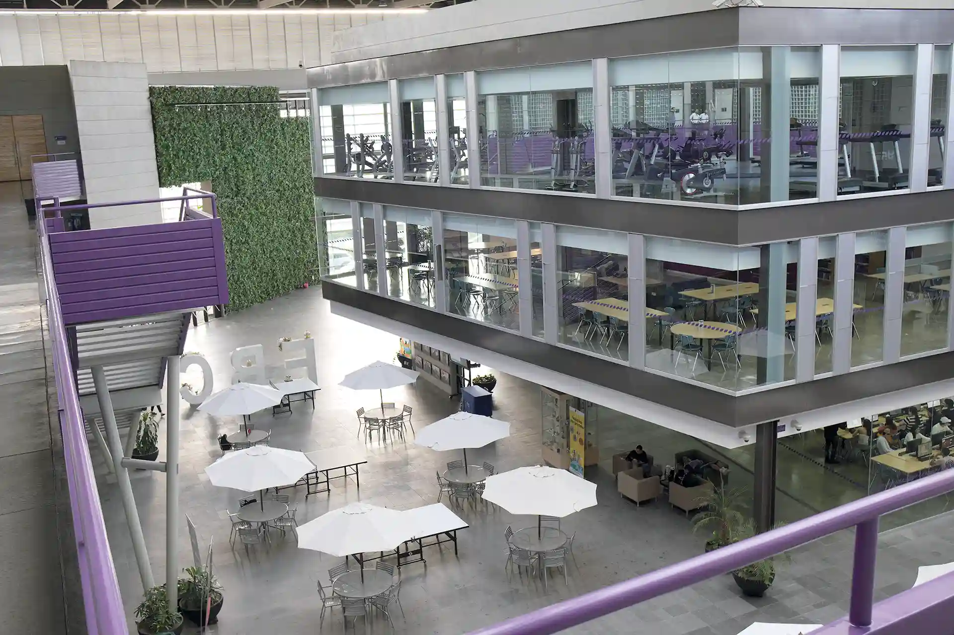 Desde el primer semestre, el eje principal del proceso de enseñanza se encuentra en formar creadores de empleos.