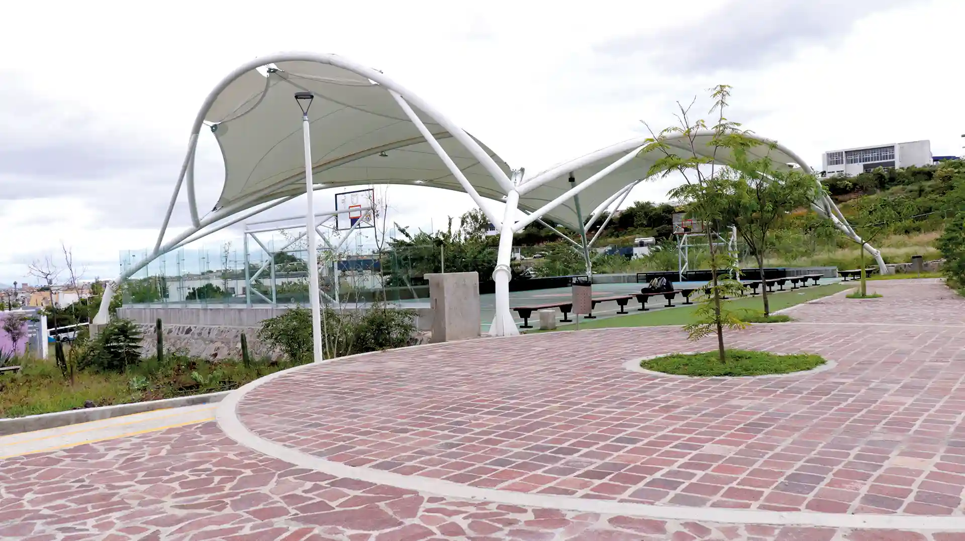 Desde preparatoria hasta posgrado, los programas académicos están conformados por distintas áreas del conocimiento