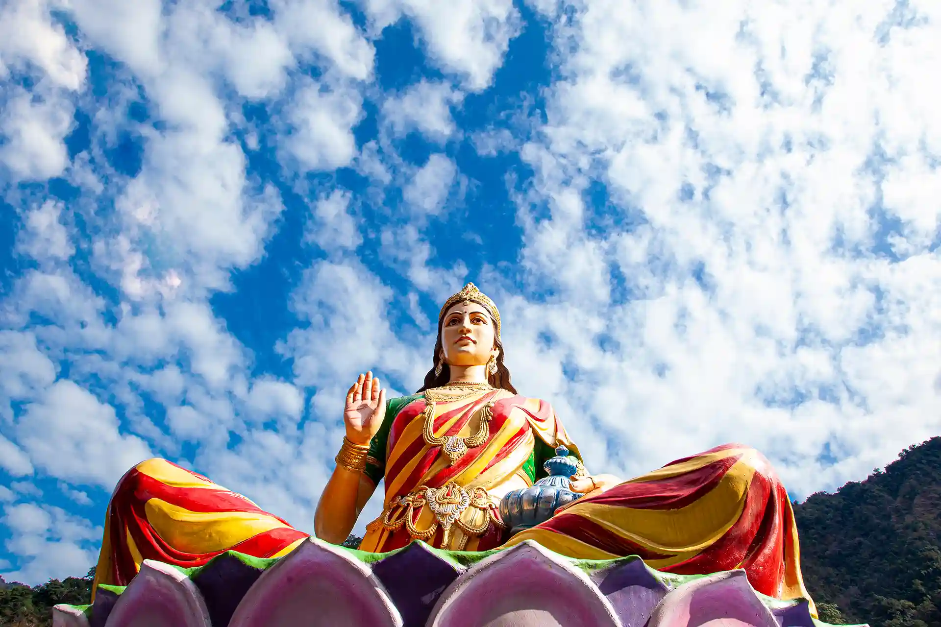 El pacto del agua es una novela sobre la resiliencia y el amor frente a la vida.