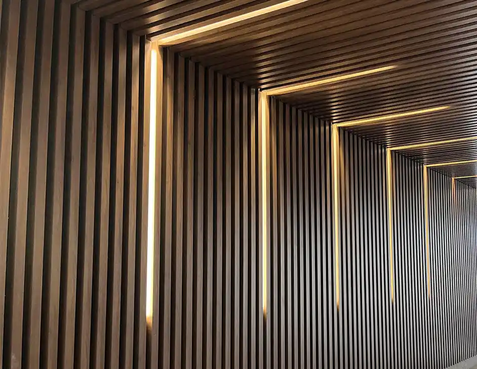 Ingeniería en Transporte Vertical S.A. de C.V.