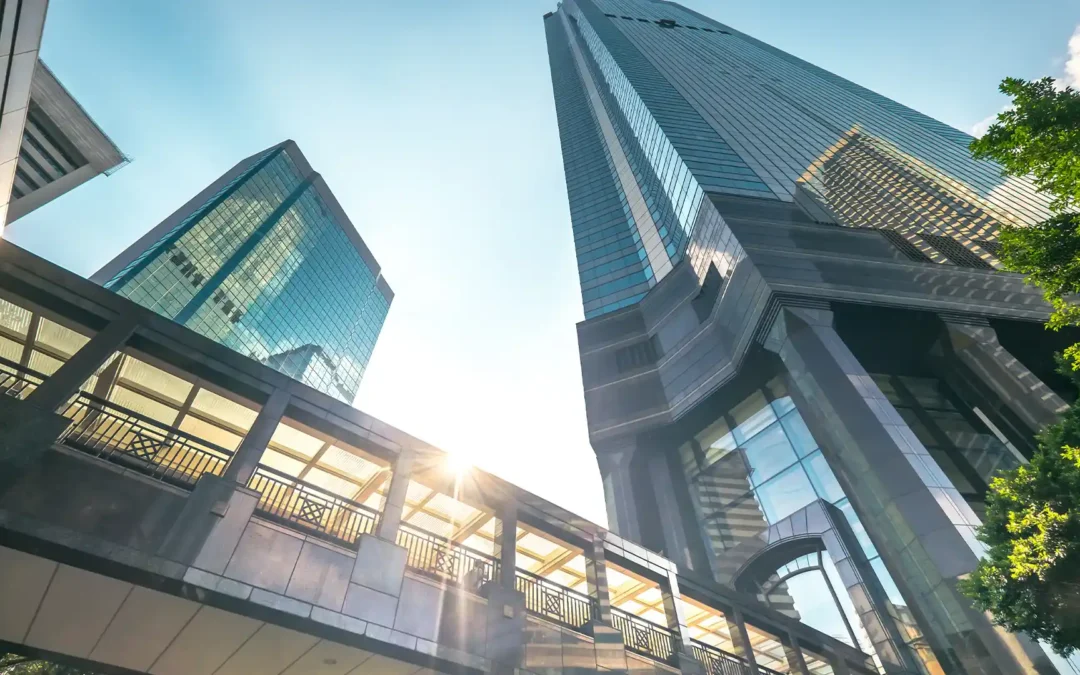 León está en una etapa de crecimiento vertical