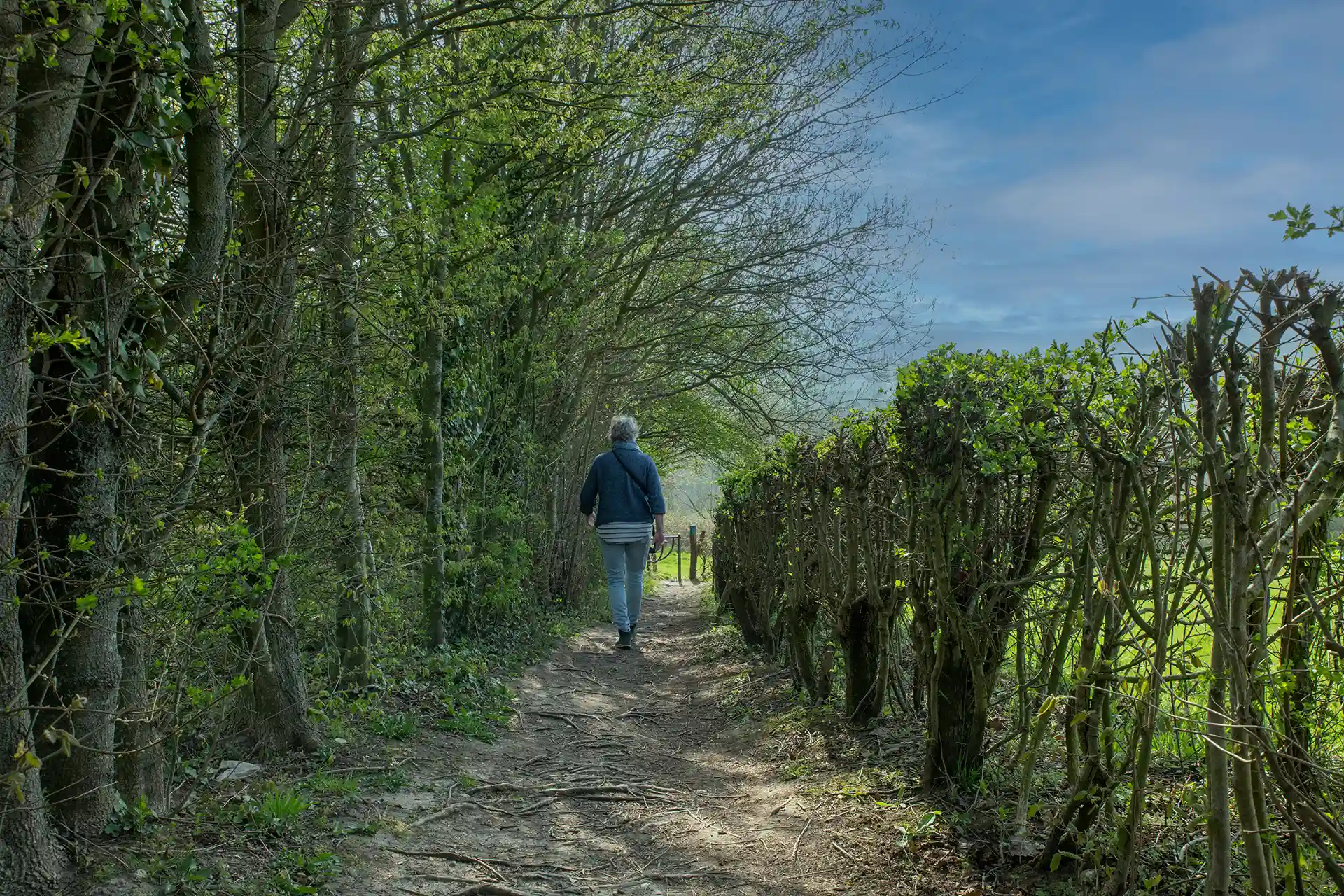 Sobrevivir a la positividad tóxica