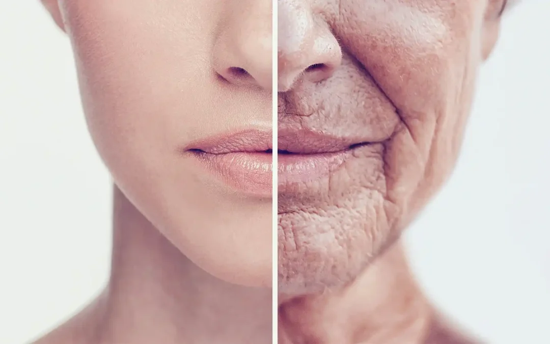 Conoce el mejor compuesto antiedad avalado por la ciencia