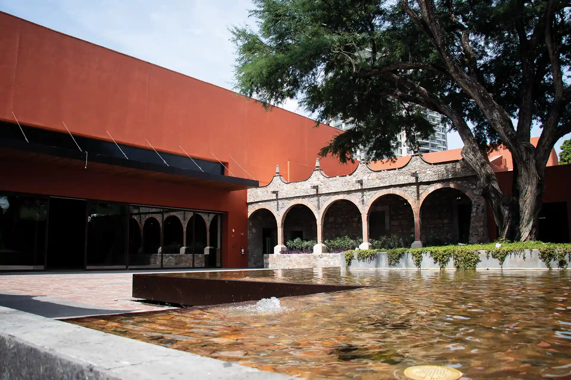 Soraya Carús Banquetes y Eventos