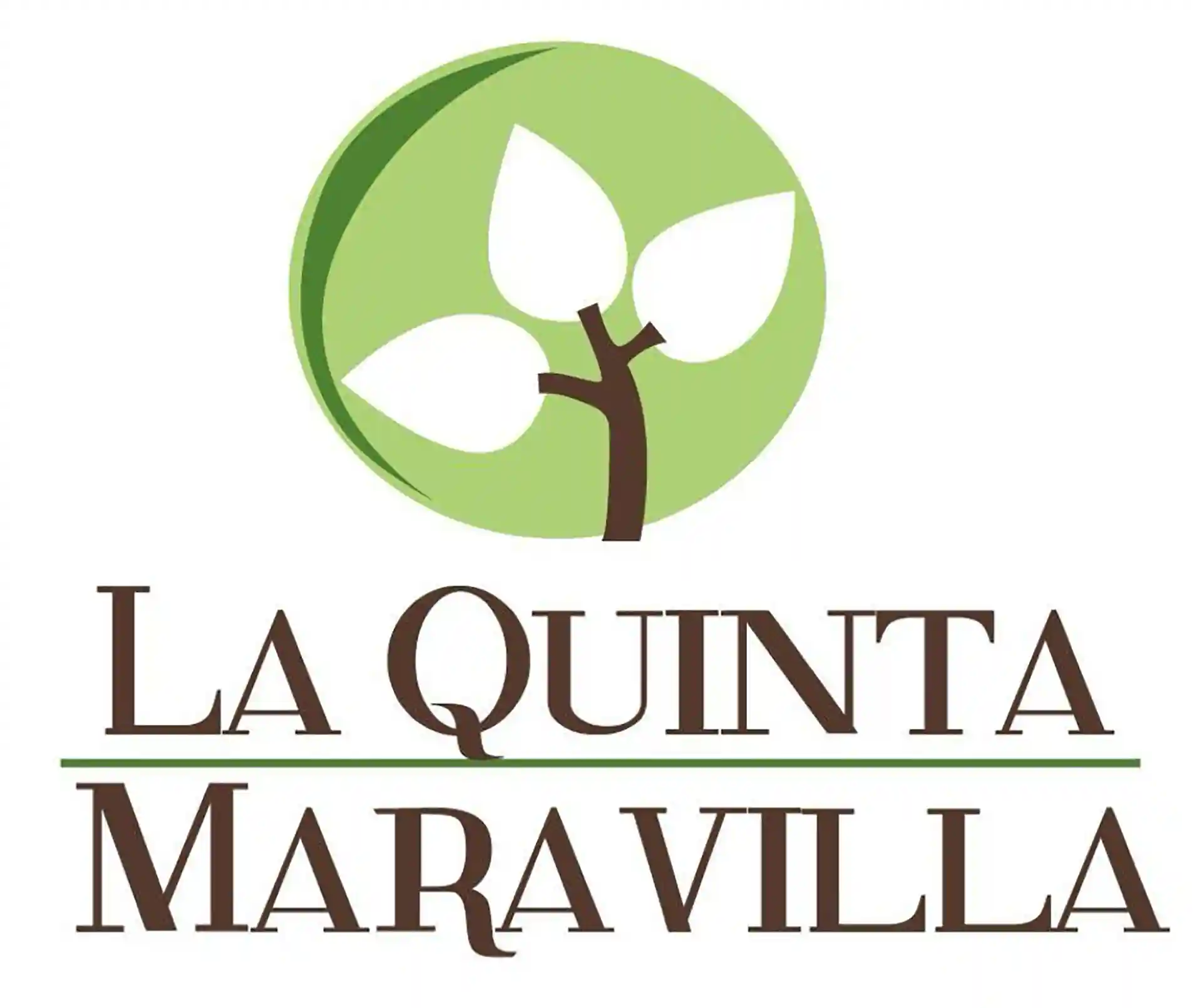 Soraya Carús Banquetes y Eventos